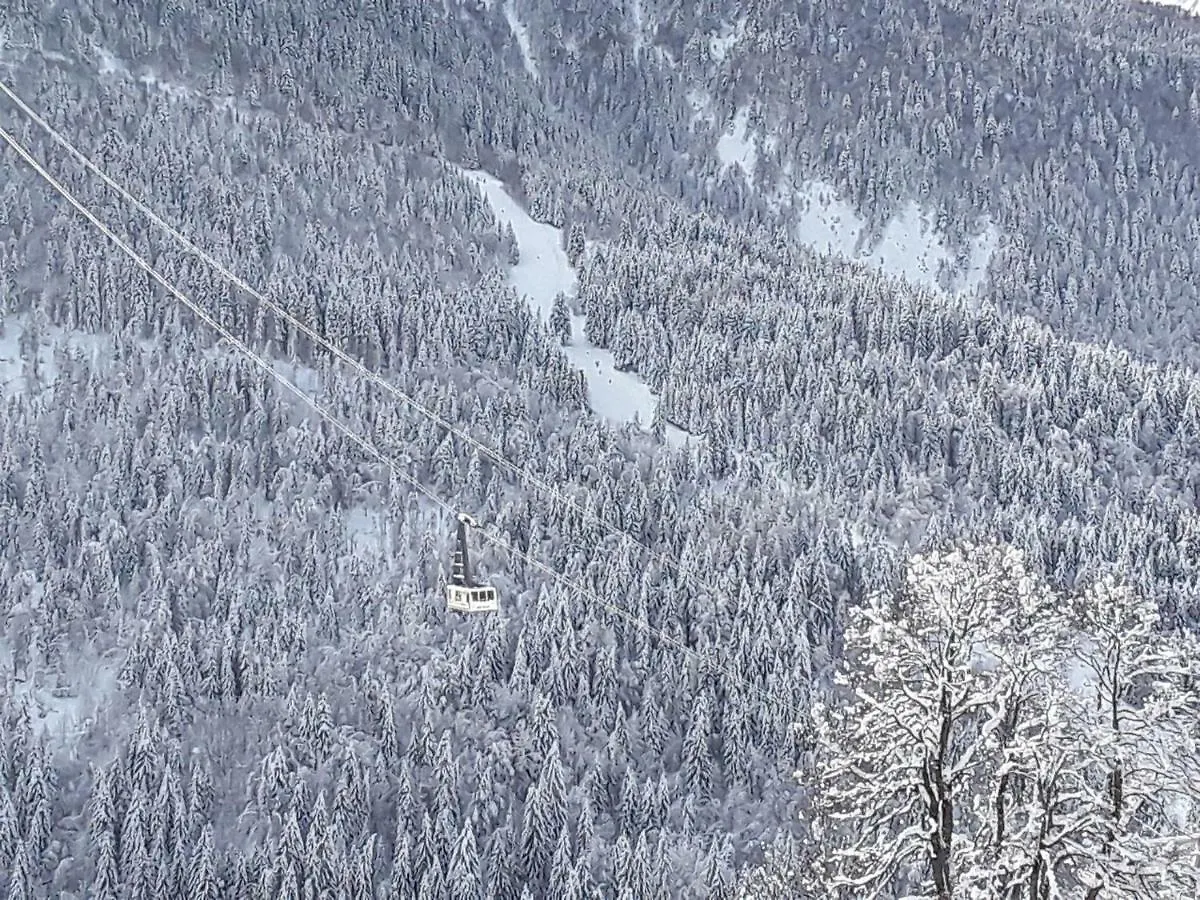 L'Aigle Royal Appartement Vaujany